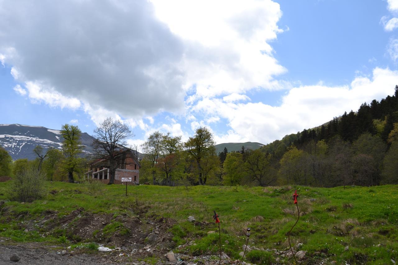 Orbi Palace Eleonora Bakuriani Luaran gambar